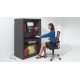 Armoire informatique Monobloc